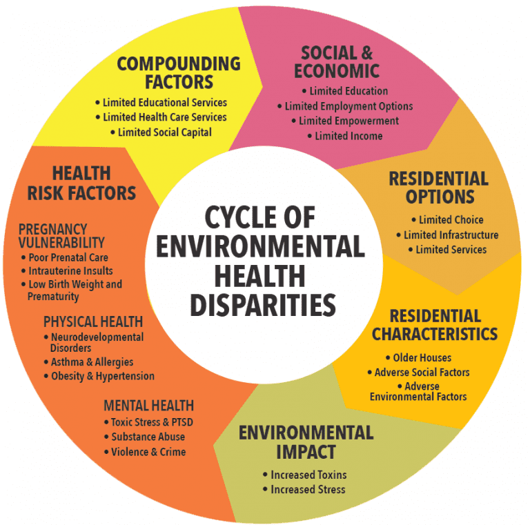 breaking-the-cycle-of-health-disparities-science-lookup