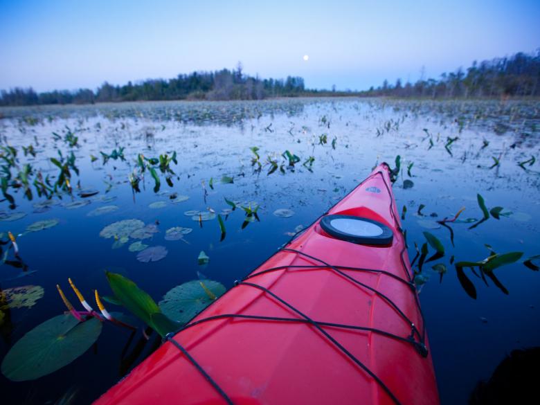 A picture of a kayak on the Okefenokee 