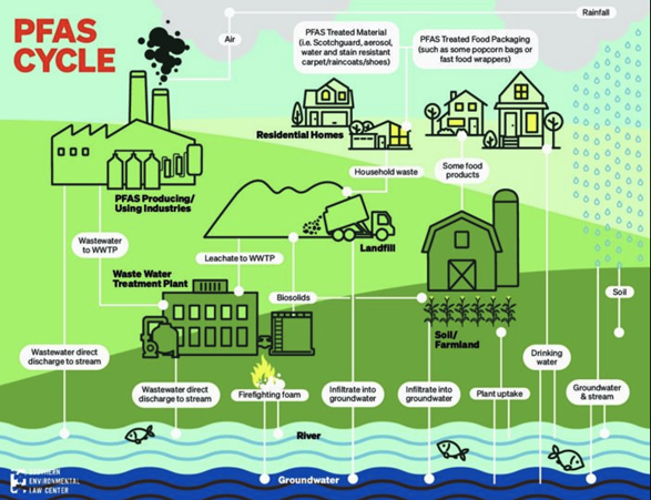 An image showing the PFCS cycle - it comes from industries, landfills, and water treatment. It then ciruclates into water where fish eat it and where crops absorb it. 